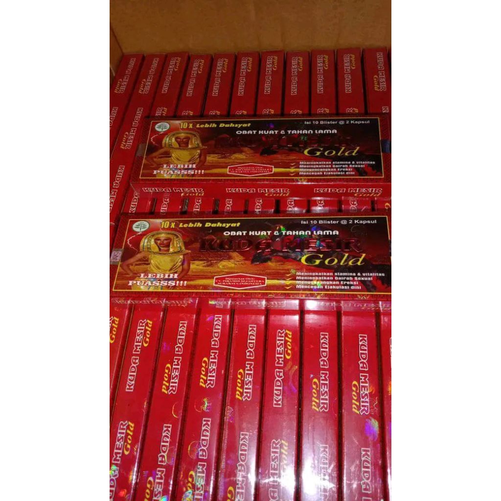 kapsul kuda mesir gold