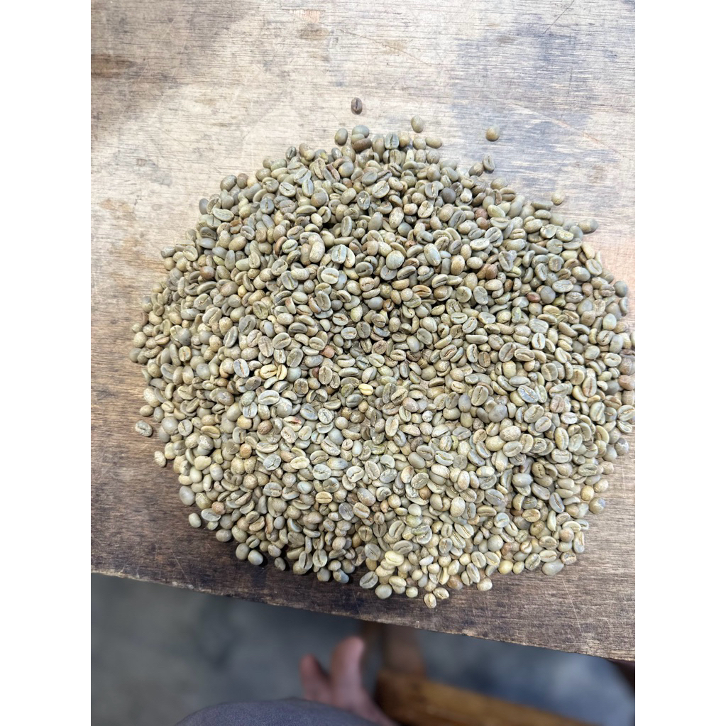 

biji kopi natural arabika aceh gayo 1kg