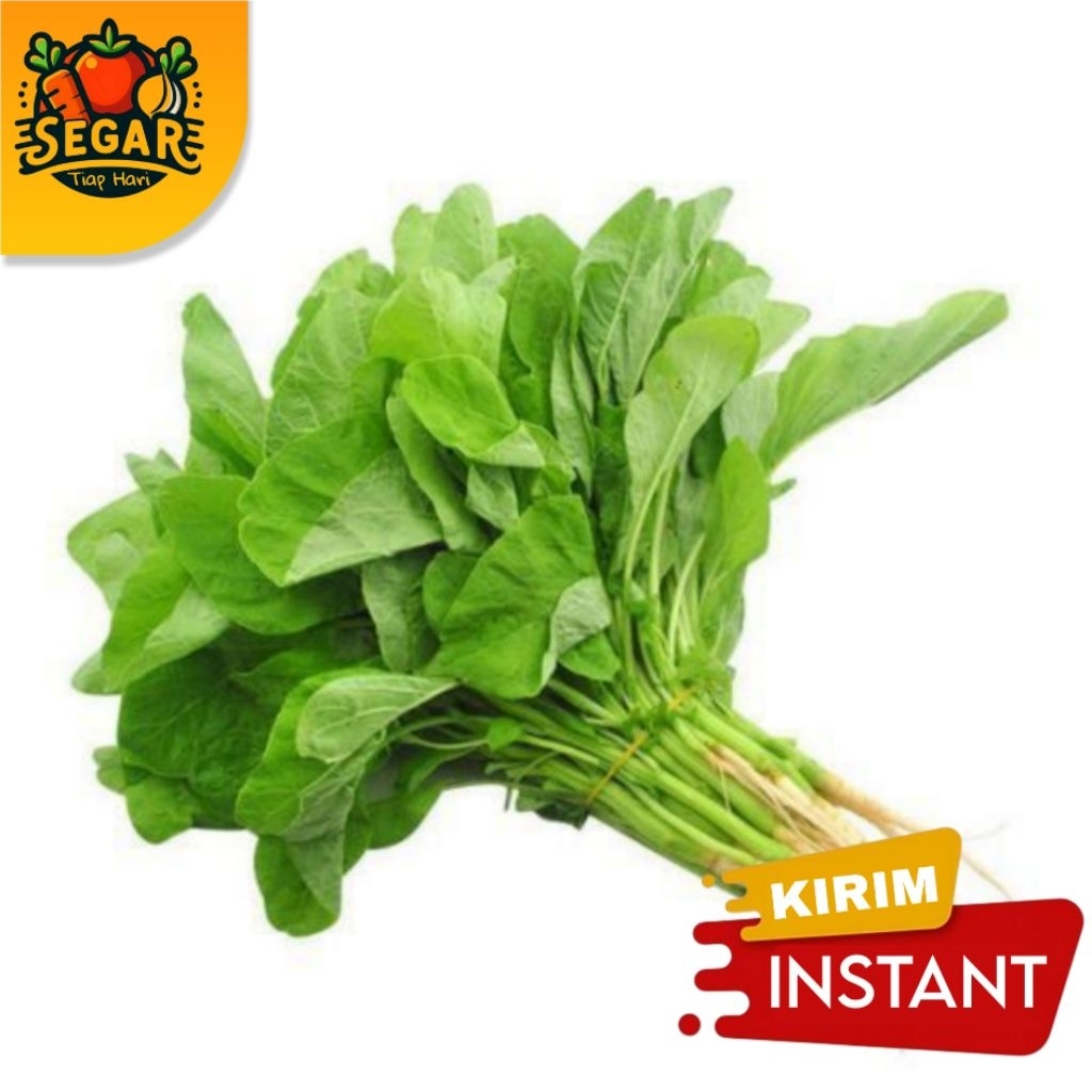 

SEGAR TIAP HARI | DAUN BAYAM SEGAR PER IKAT