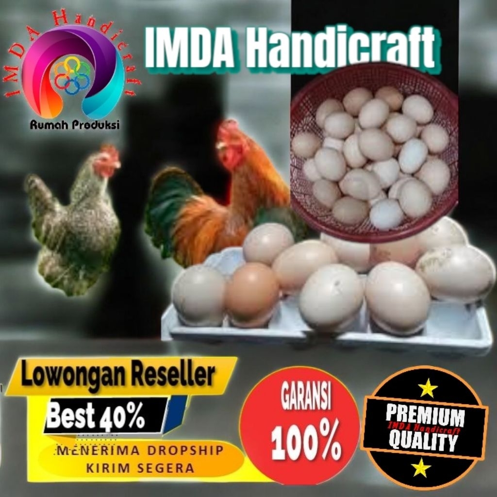 

IMDA HANDICRAFT Paket 1 Pcs TELUR FERTIL AYAM KUB2 Jalur PETELUR FI MURNI KUB2 Perent Stock Bisa Ditetaskan Kembali Kwalitas Super Jaminan Menetas Hasil Peternak Profesional