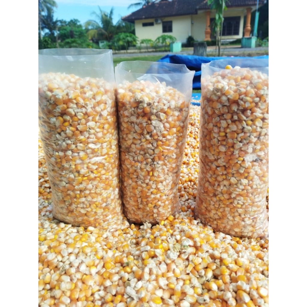

JAGUNG PIPIL KERING KEMASAN 1 KILOAN x3PCS