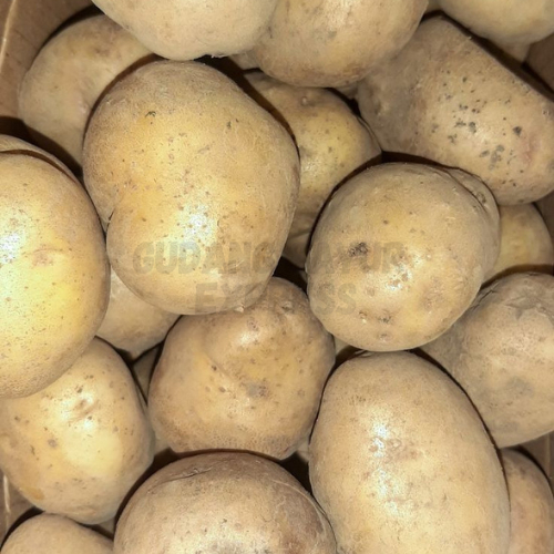 

Kentang Sedang Dan Besar Super 500 gr