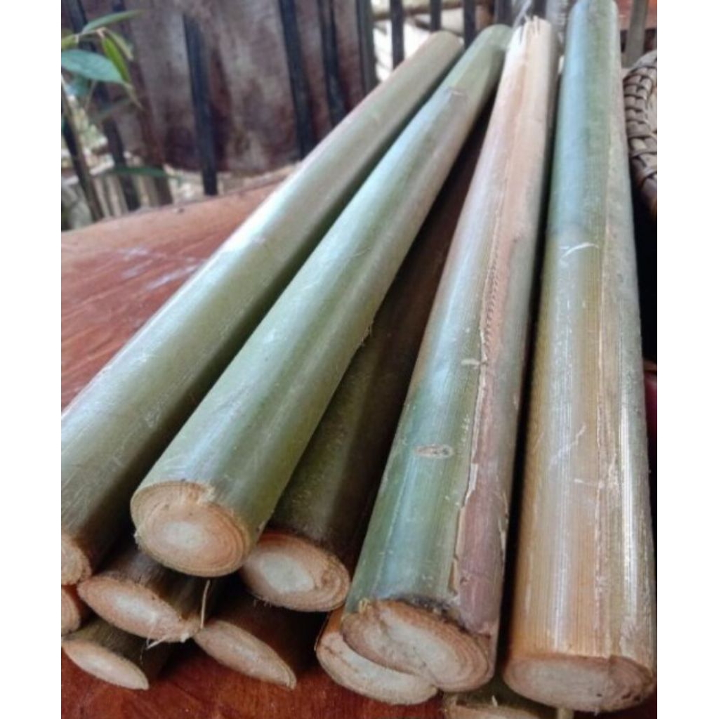 

Jual batang kecomrang tua masih pres 250 grm