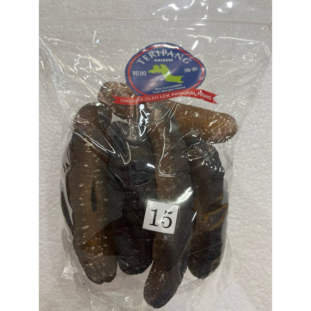 

Teripang sea cucumbar jenis pasir nyuksem