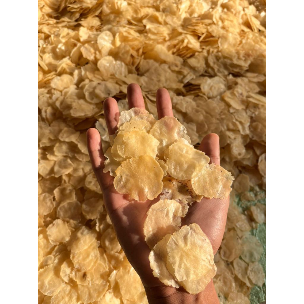 

emping melinjo 2kg full kering has pasar serang banten ukuran 1&2 biji