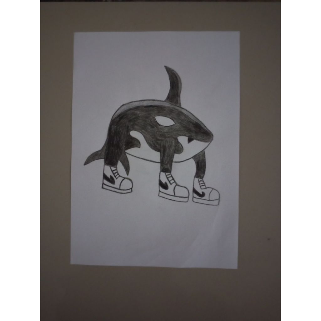 

Gambar Anomali Orcalero Orcala