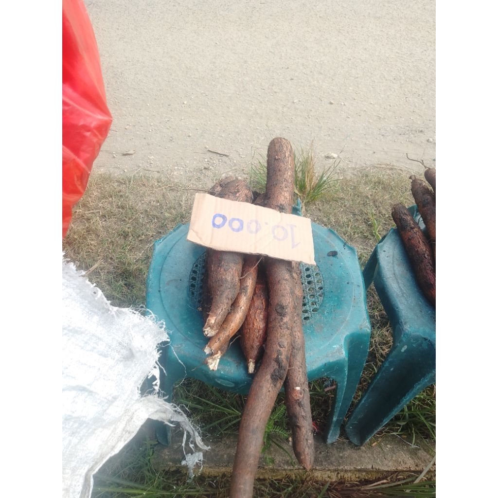 

Ubi Kayu (Isinya lembek dan tidak pahit)