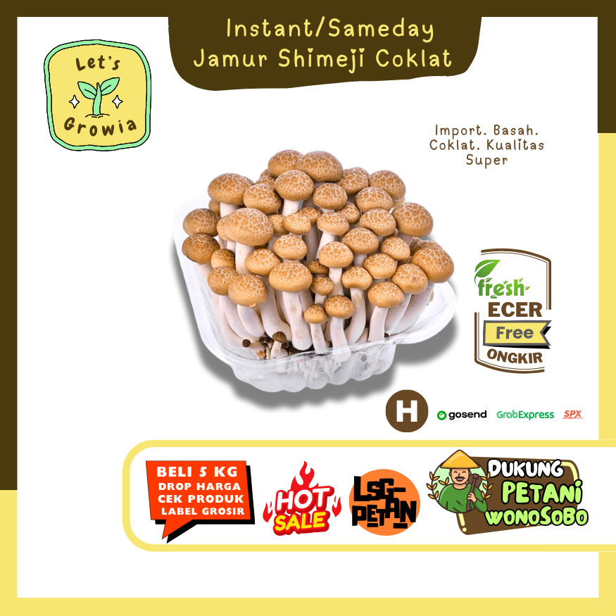 

Growia || Jamur Shimeji Coklat -- Hasil Petani Langsung Ecer Sayur Gunung (H)