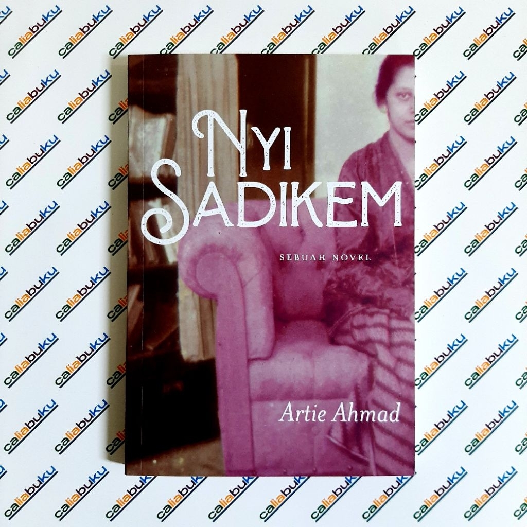 Nyi Sadikem : sebuah novel