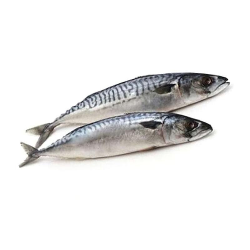 

Ikan salem segar 500gram