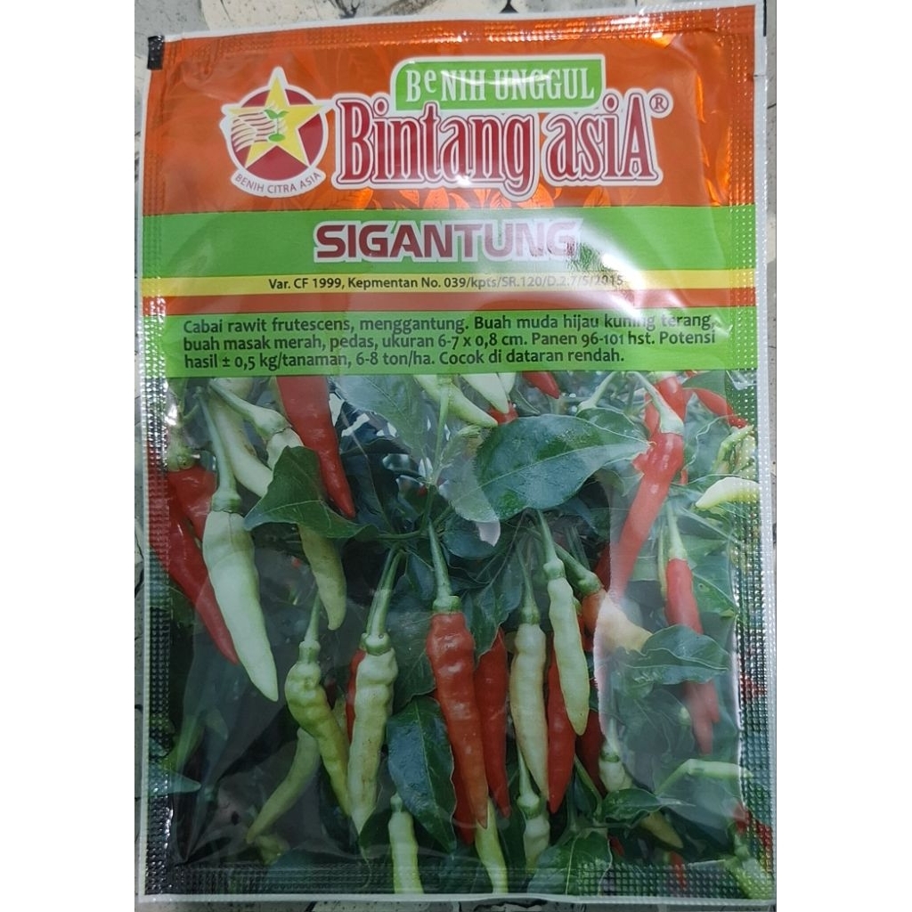 BENIH CABAI RAWIT SI GANTUNG