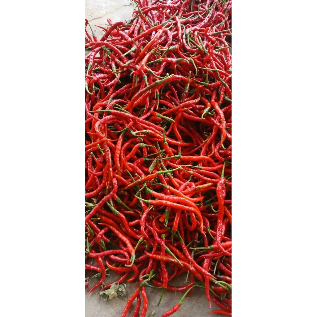 

Sayur Segar Kota Padang