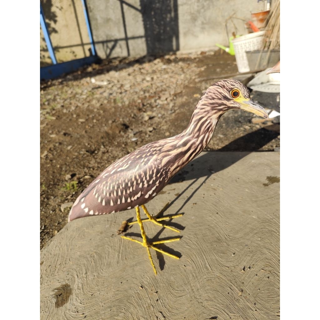 jontrot burung goak coklat rawa/ patung boneka manuk koak mirip aslinya