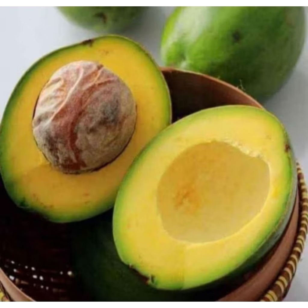 

alpukat mentega 5,KG MENTAH