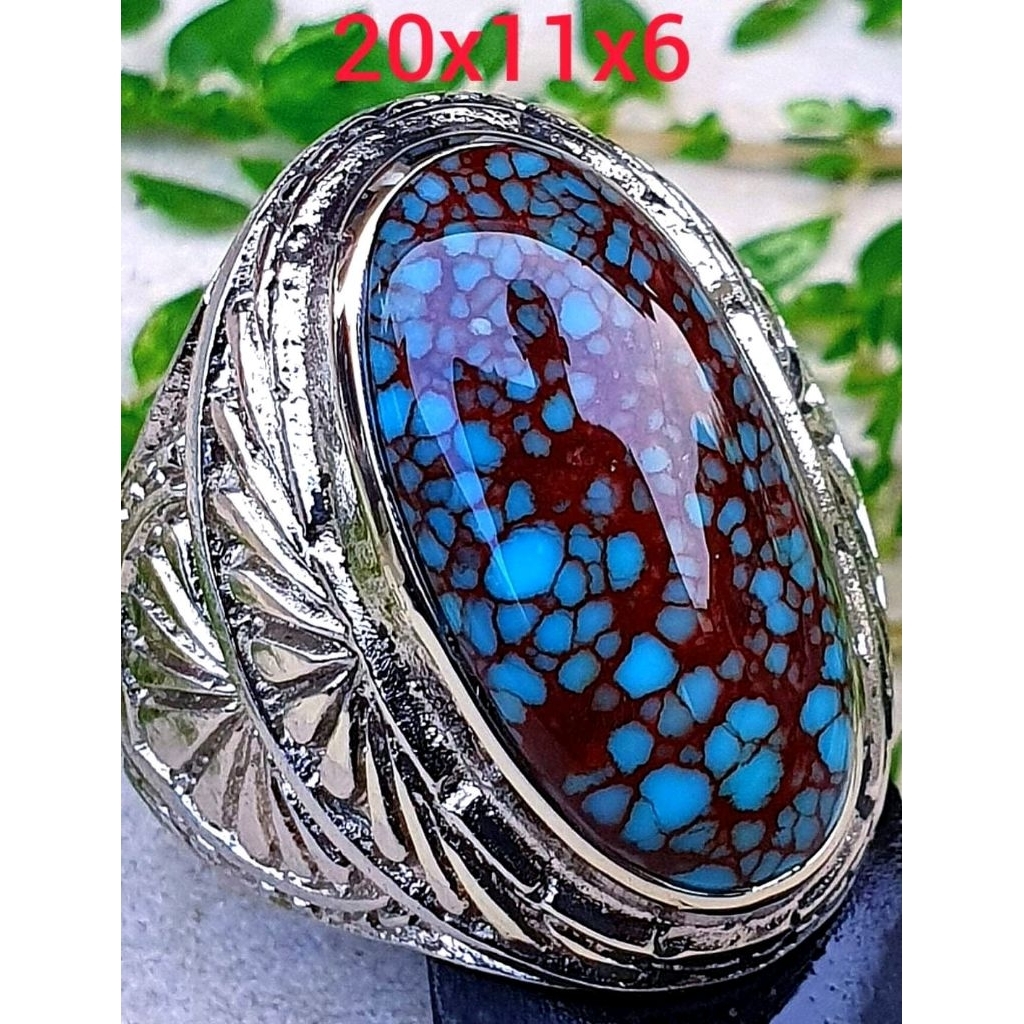 pirus Mesir Urat merah ceplok kuro