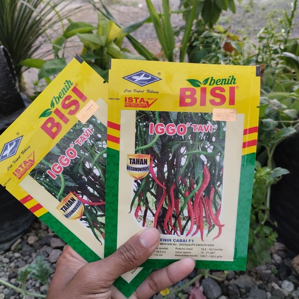 Benih Cabai Merah F1 IGGO TAVI 10 gr Kemasan Pabrik CMK Tahan Virus Berbuah Lebat