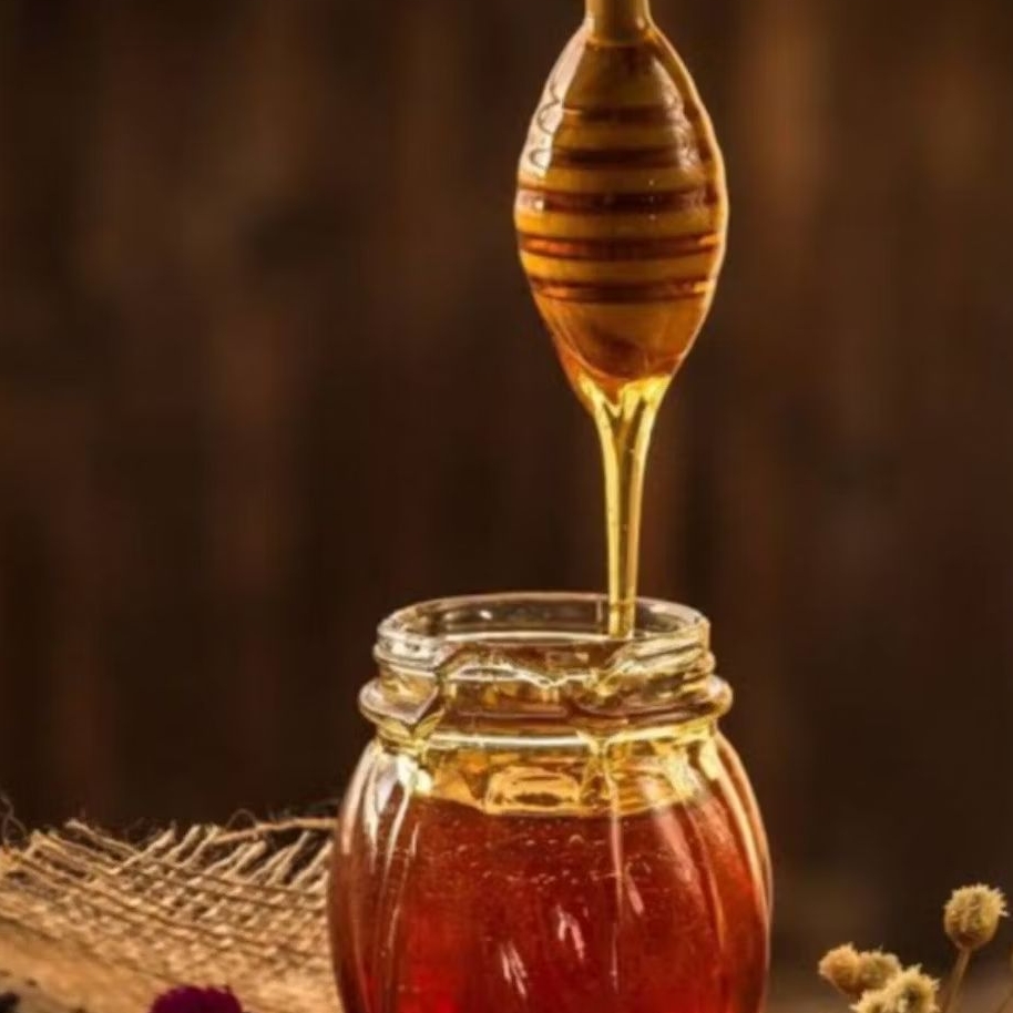 

madu hutan asli murah