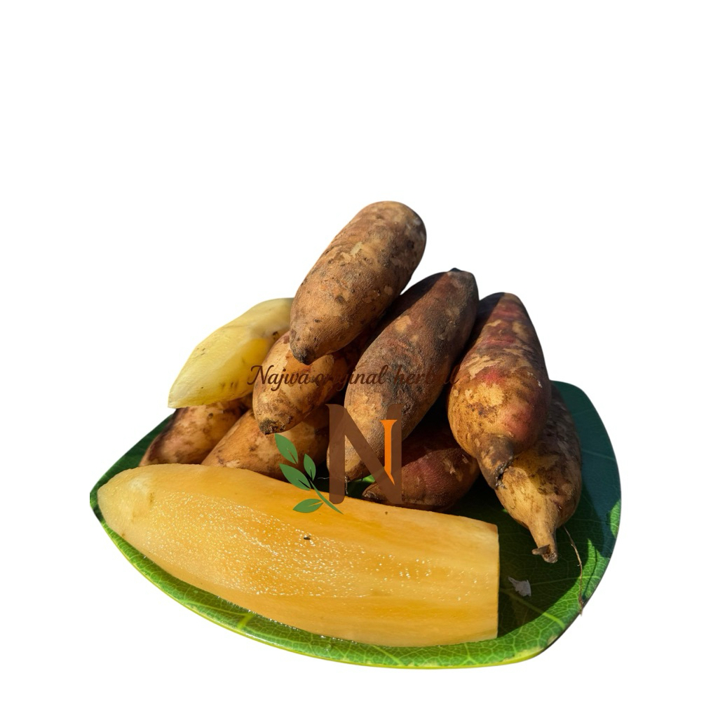 

ubi yakon asli dari peru di budidayakan di wonosobo berat 1kg