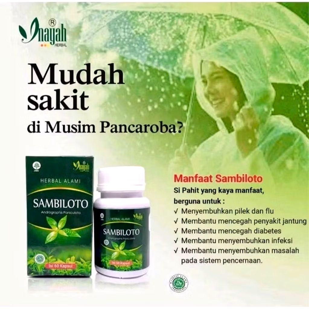 

KAPSUL SAMBILOTO / HERBAL ANTIBIOTIK ALAMI