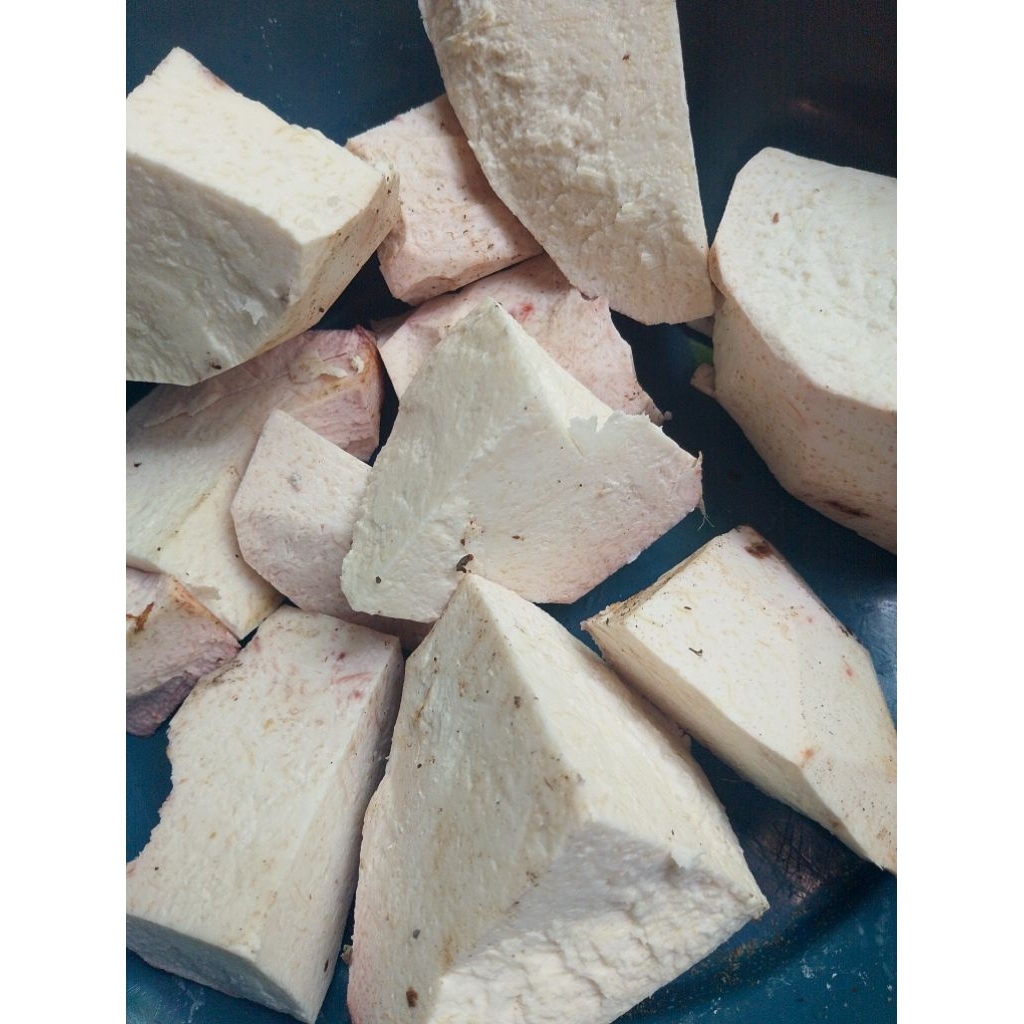 TALAS PRATAMA KUPASAN