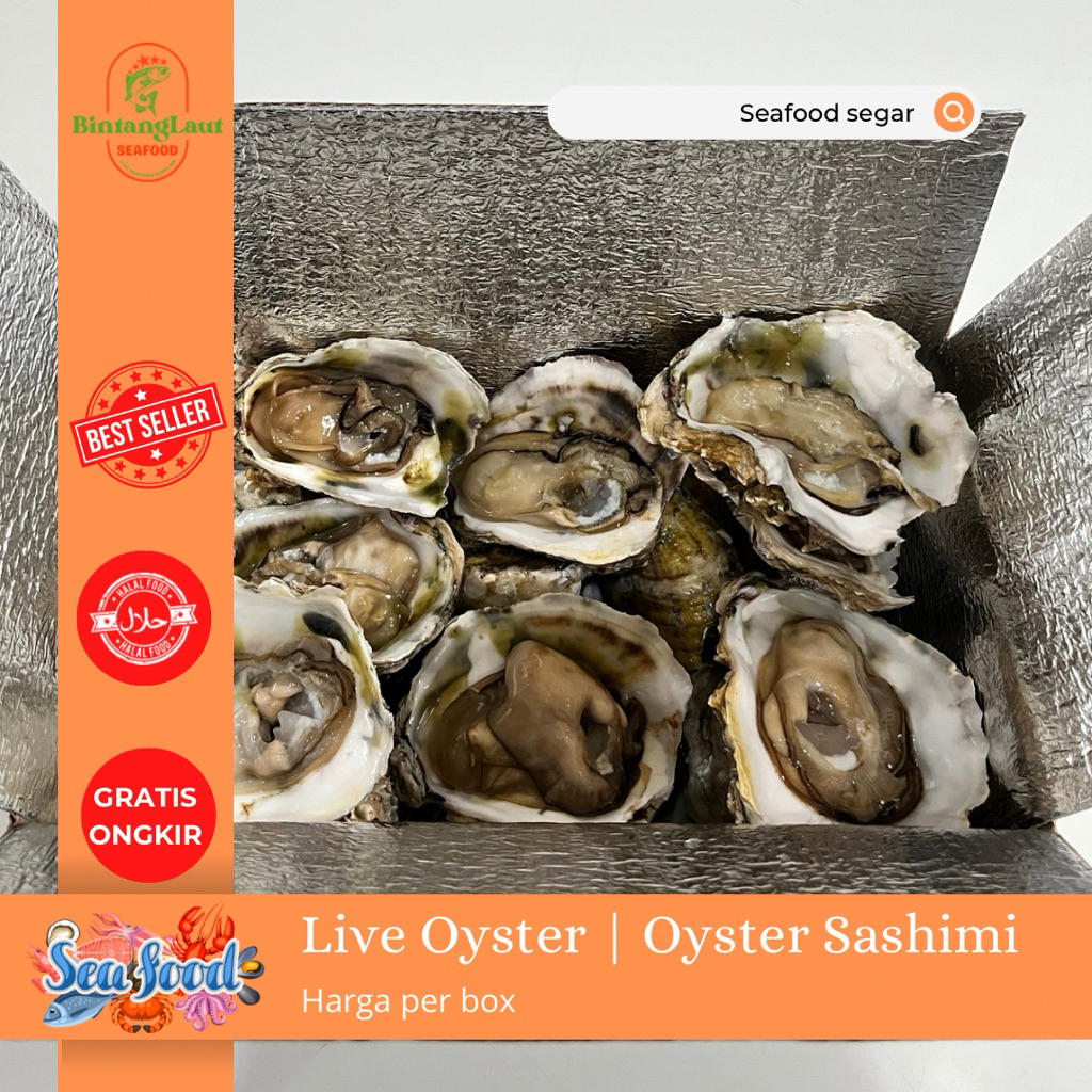 LIVE OYSTER/ OYSTER FRESH / OYSTER SASHIMI / PER PAKET