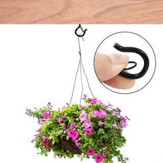 10pcs Skrup Gantung Skrup Anting Tutup Hook M5 5.5cm Dengan Alat Skrup Kait Sekrup Gantungan Burung