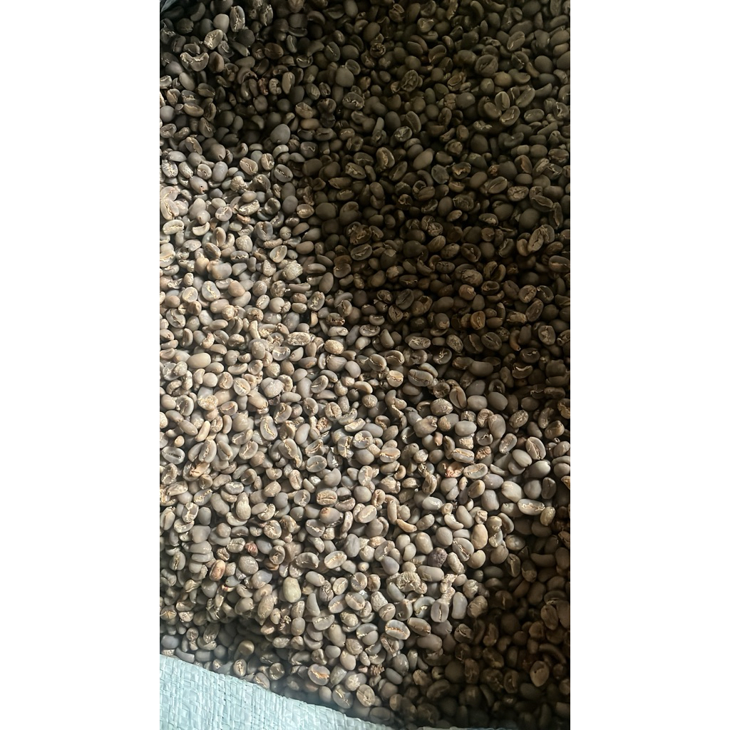 

Greenbean Arabika Gayo semiwash