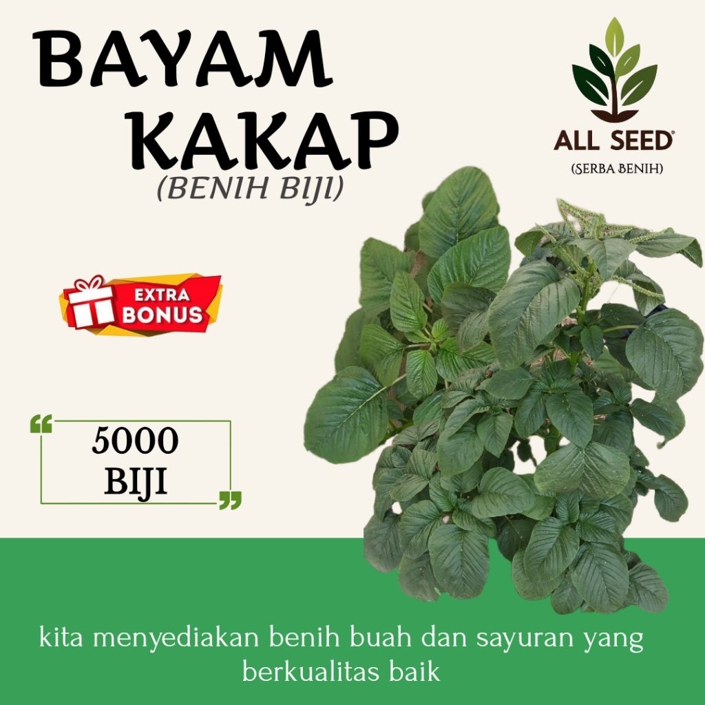 ( 5000 biji ) Benih bayam kakap