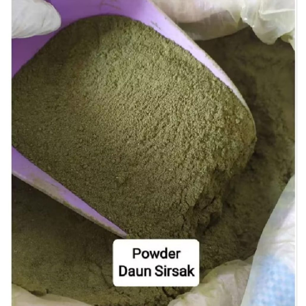 BUBUK DAUN SIRSAK 1KG