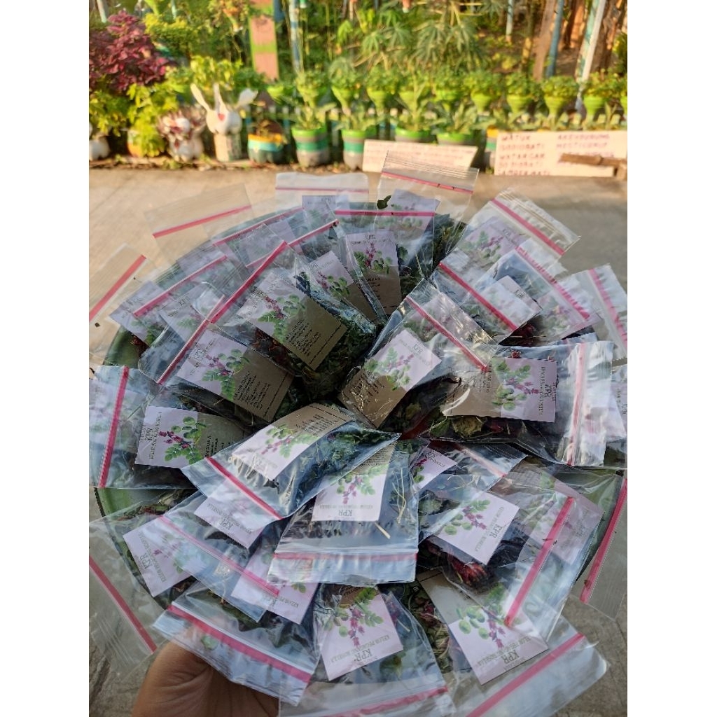 

simplisia KPR (Kelor, pegagang, rosella) + daun pandan