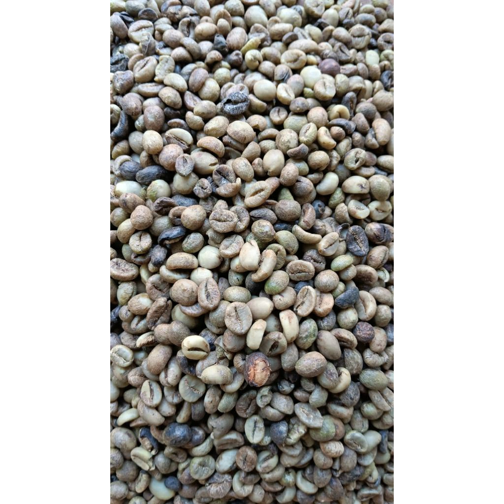 

greenbean biji kooi mentah asalan asli jawa 1kg