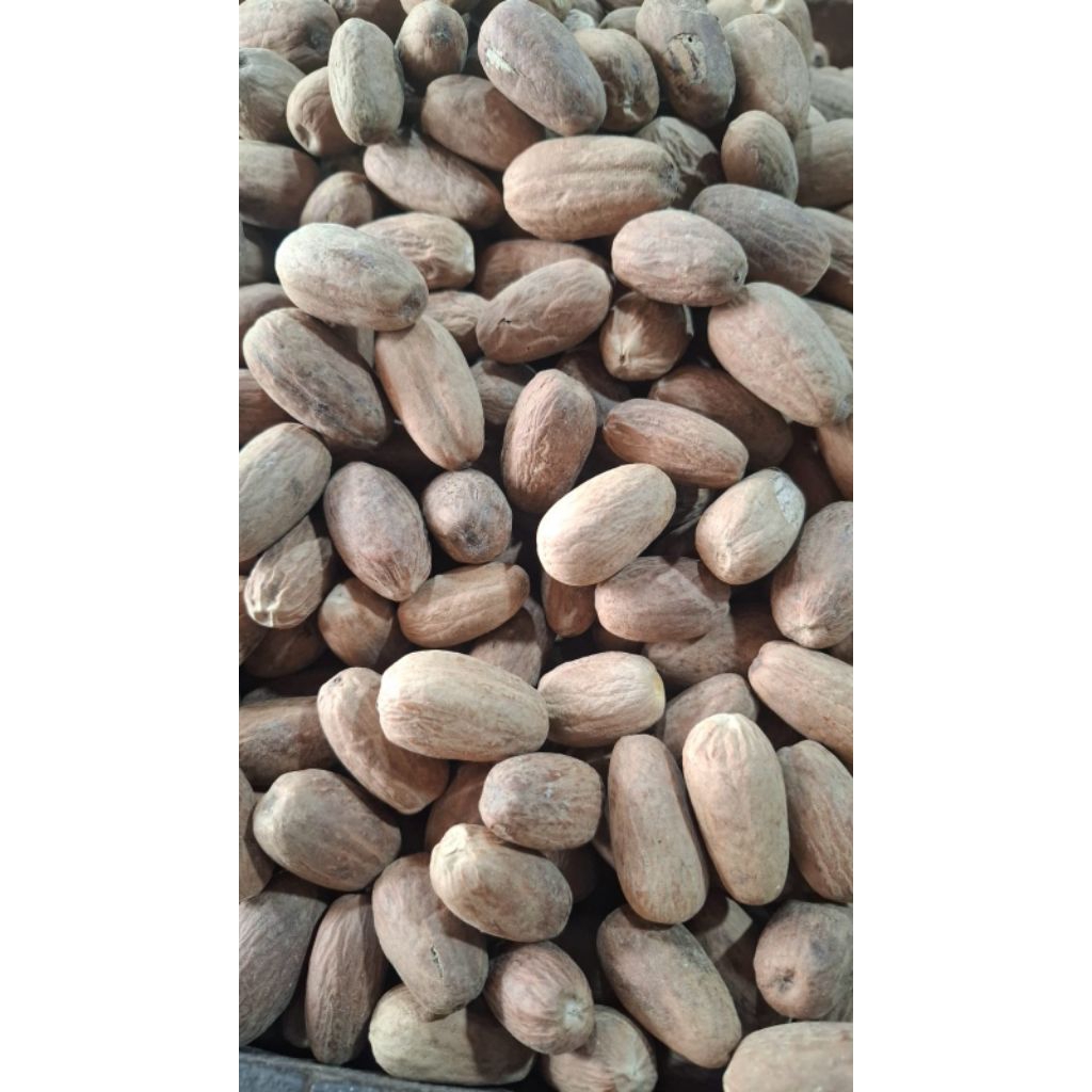 

biji pala,Kebang pala,asam kandis