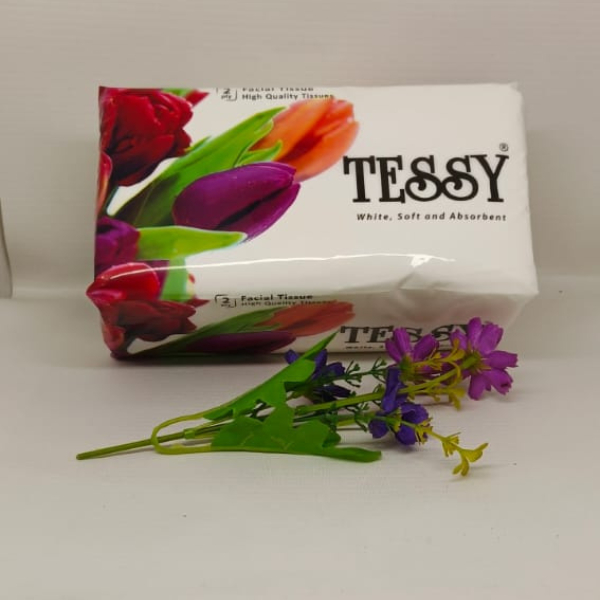 ( 5 Pack ) Tessy Tissue 250 Sheets x 2Ply - Facial Tissue