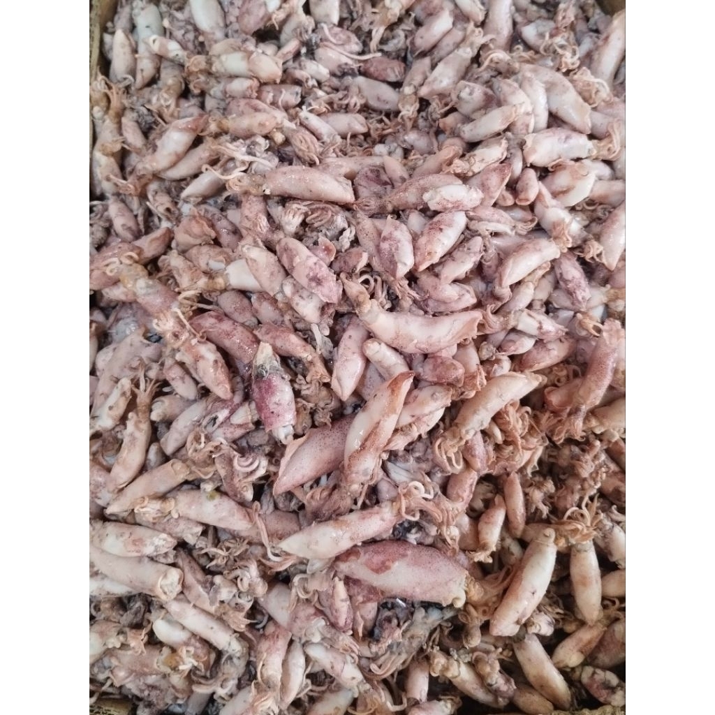 

Ikan Asin Cumi | 250 gr