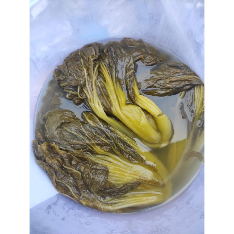 

sayur asin ( harus order + bubble untuk regular ) / sayur asin / hamcoi / ham choi / sayur asin kalimantan