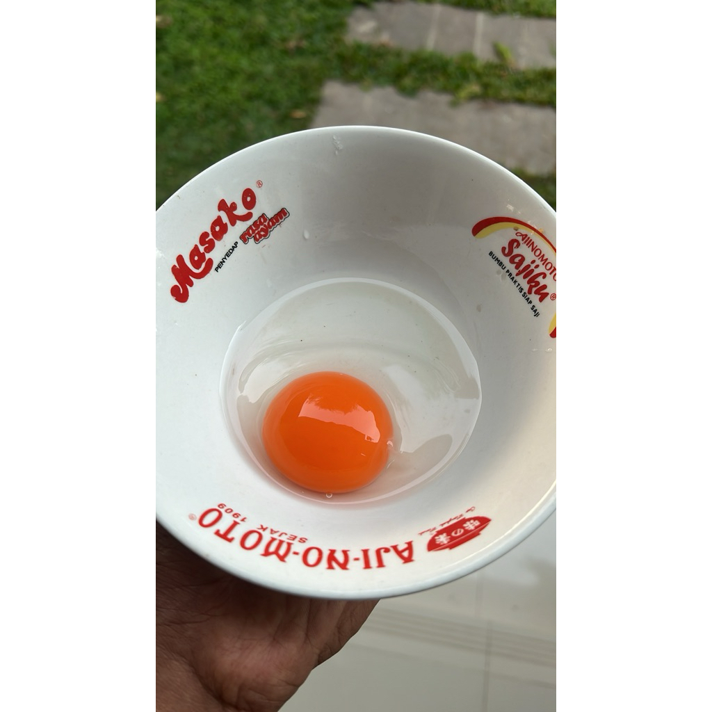 

Telur bebek mentah omega3