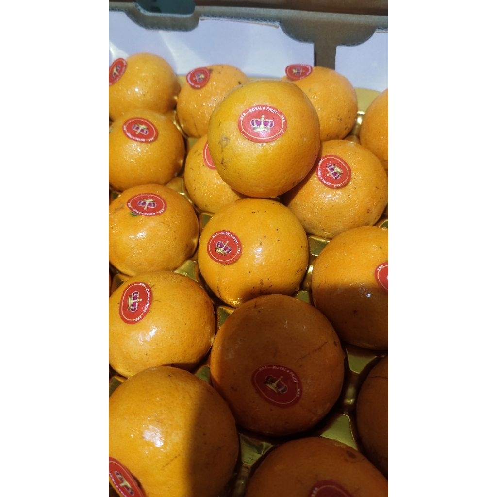 

Jeruk Wogan Manis Seger