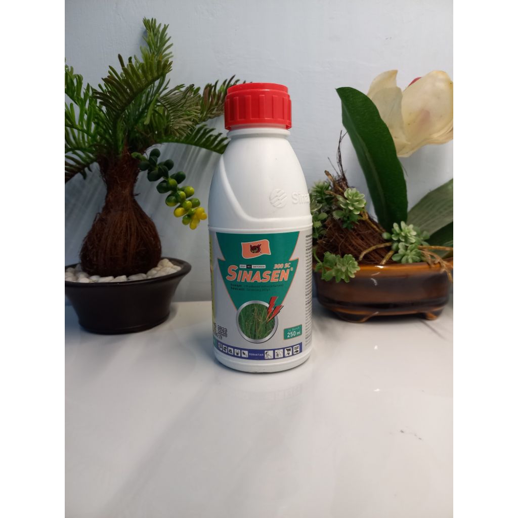 Sinasen 300SC 250ml Insektisida Saisentong