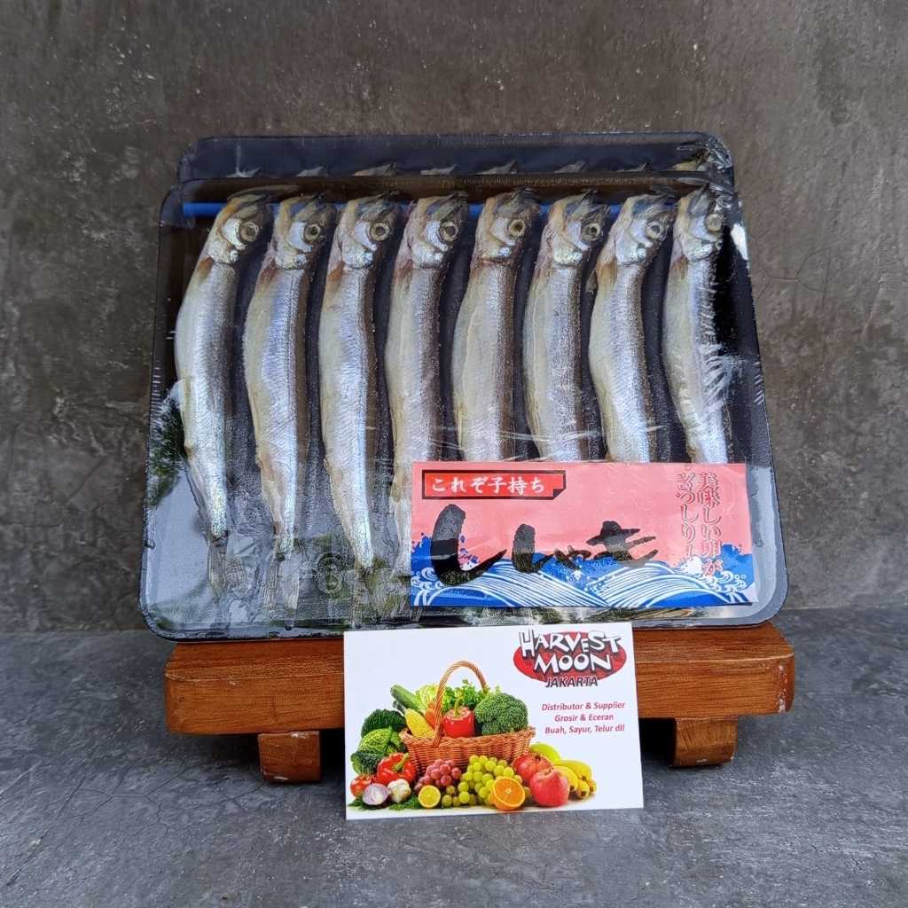 

HarvestMoon Ikan Shisamo Per Pack