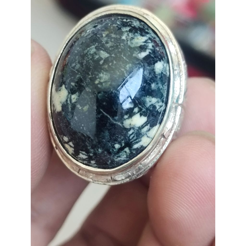 badar besi totol putih