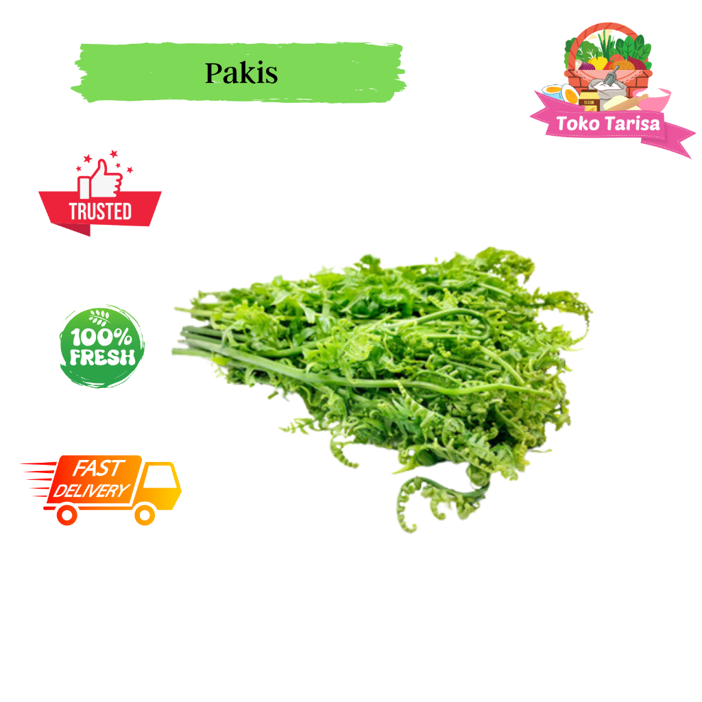 

Daun Pakis 1 Ikat