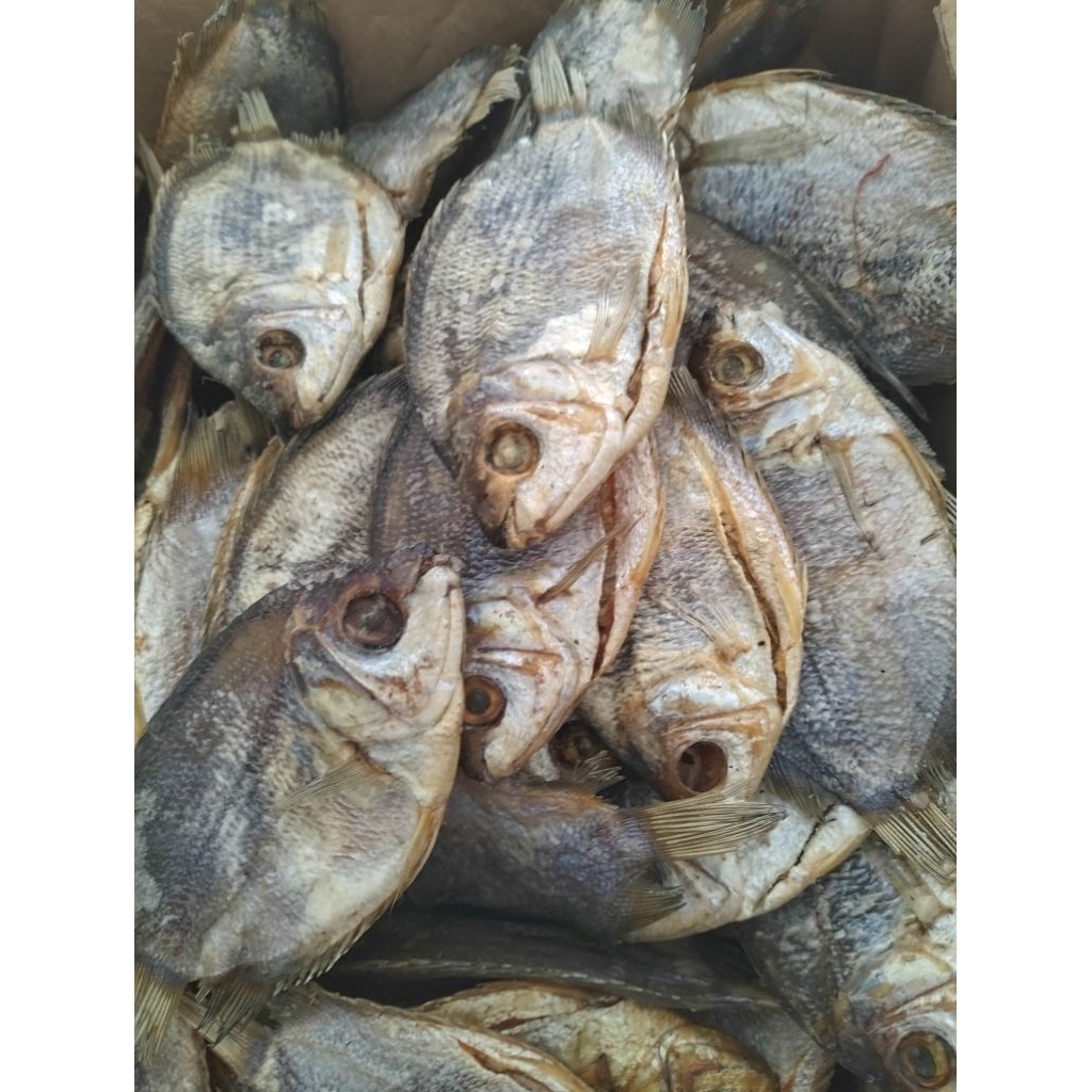 

ikan asin dembagan (ikan kali)