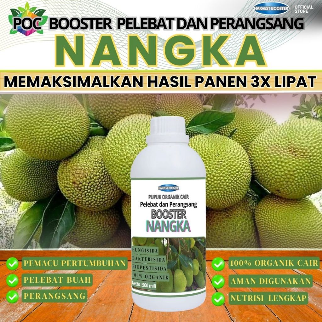 POC PUPUK BOOSTER NANGKA, Pupuk Buah NANGKA, POC Booster NANGKA, Pupuk POC Kelapa, Booster NANGKA