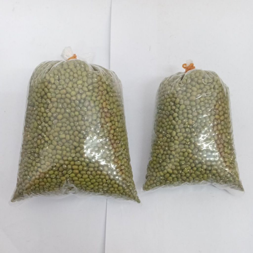 

KACANG HIJAU