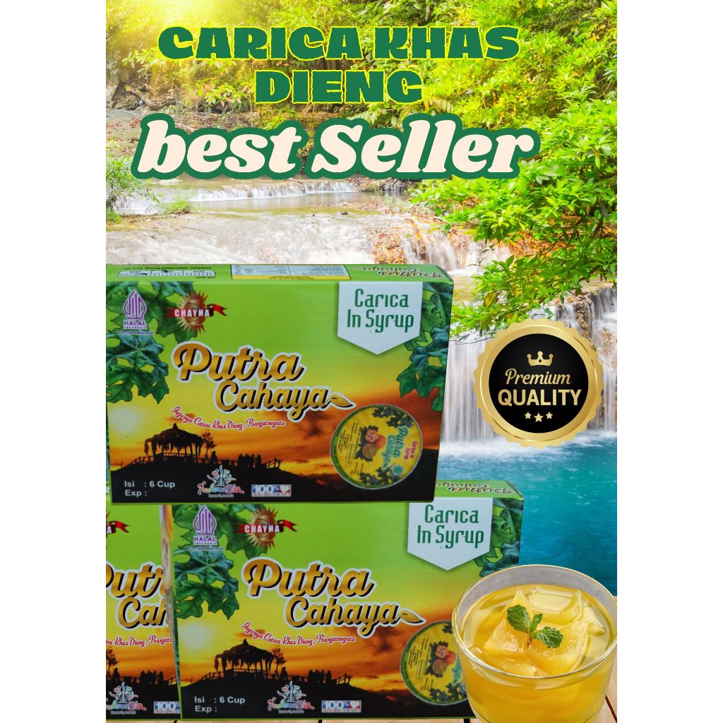 

CARICA DIENG Putra Cahaya - carica isi 6 - carica syrup - Rumah Snack Aswatabara