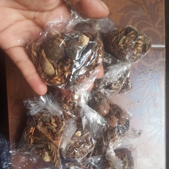 

isi Anget-anget Pedagingan maupun Klungah Dasar