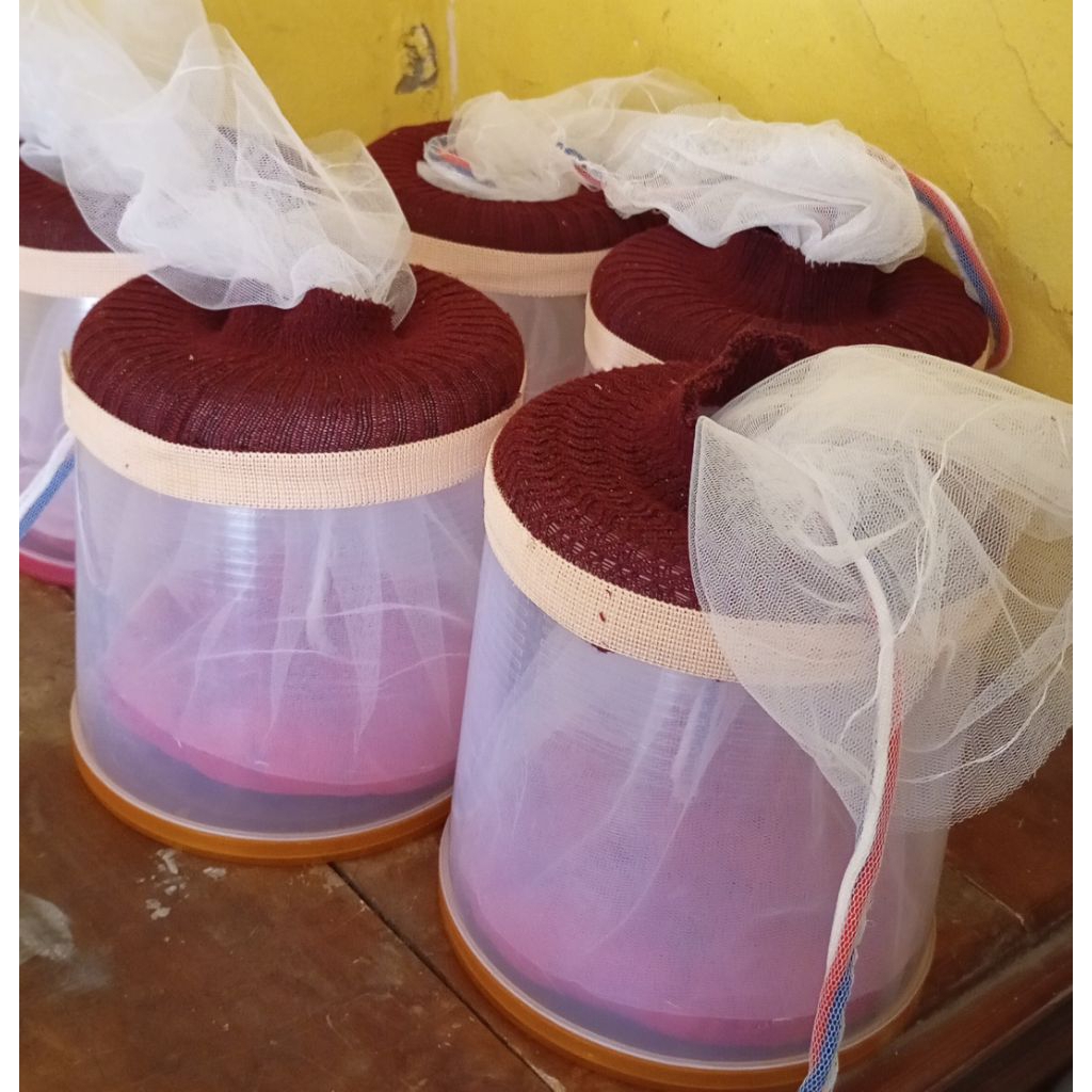 

PLASENTA/TOPLES/ALAT/PERAGA/PENDIDIKAN/