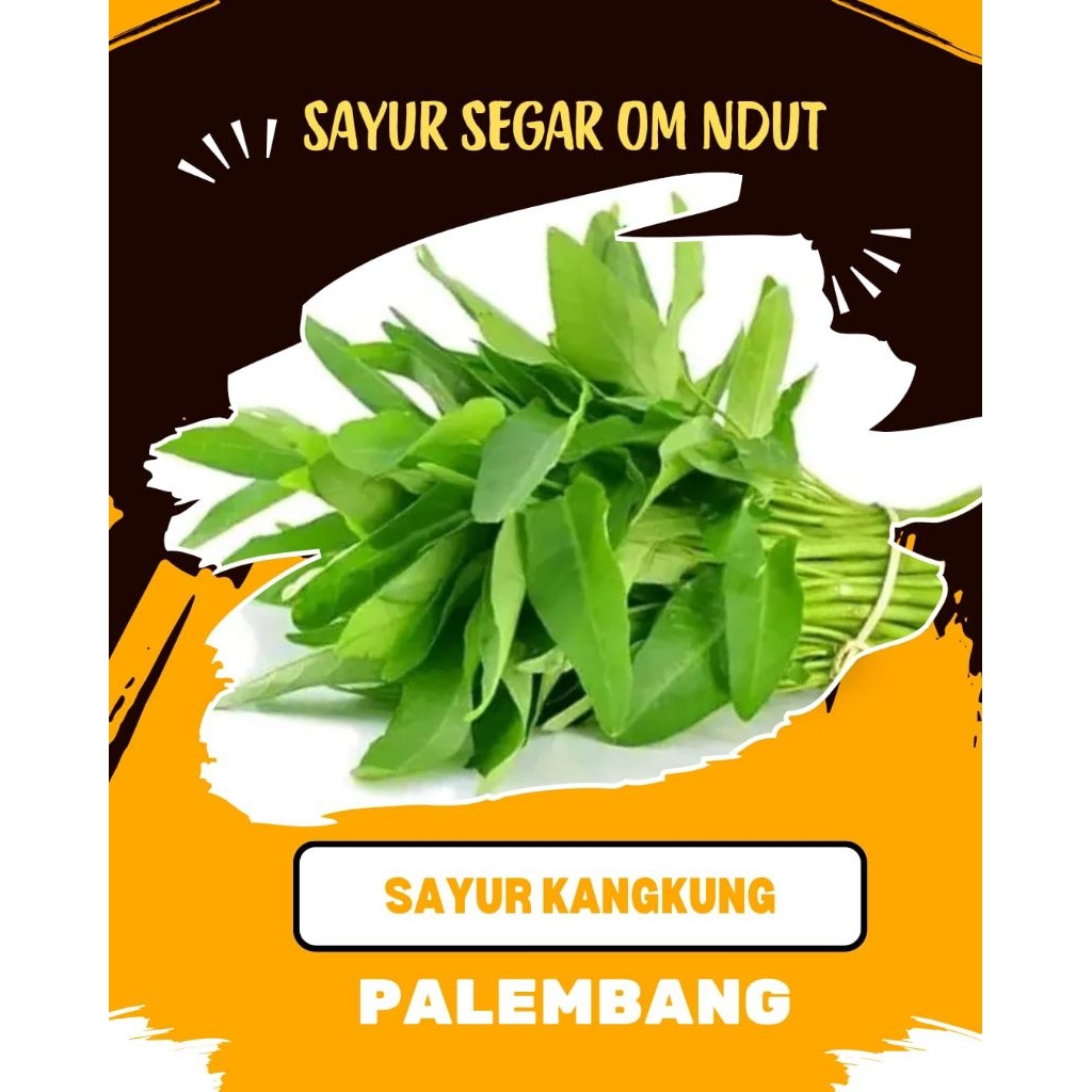 

SAYUR KANGKUNG PER IKAT - INSTAN PALEMBANG
