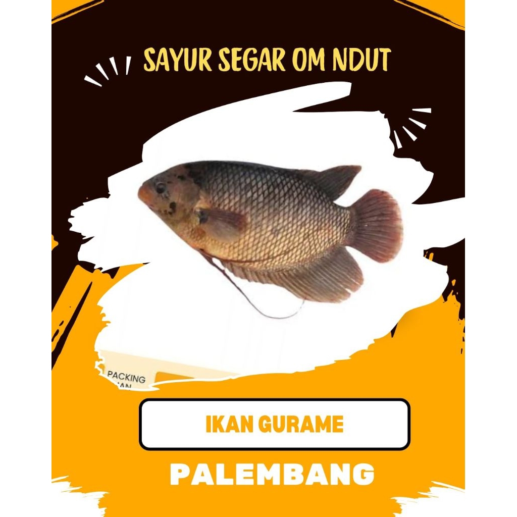

IKAN GURAME - INSTAN PALEMBANG
