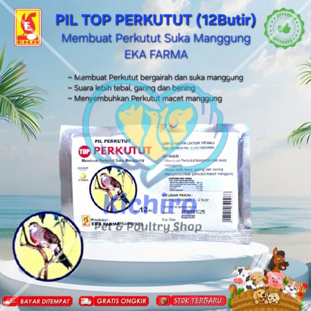 Pil Perkutut Top Perkutut Isi 12 Butir Eka Farma Membuat Burung Perkutut Suka Manggung